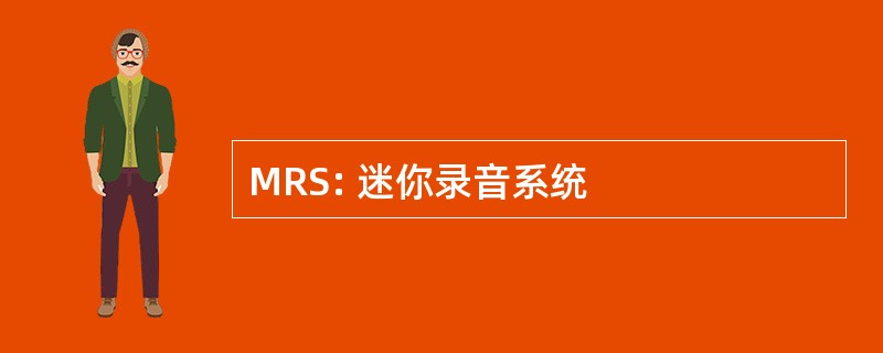 MRS: 迷你录音系统