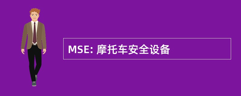 MSE: 摩托车安全设备