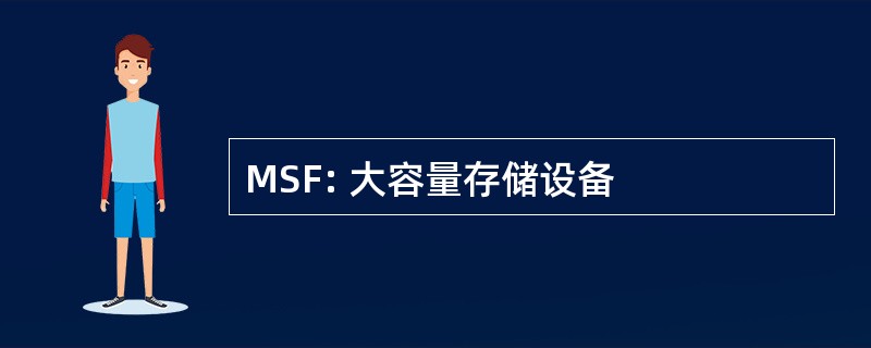 MSF: 大容量存储设备