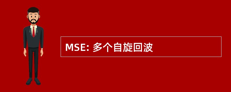 MSE: 多个自旋回波