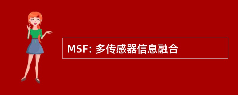 MSF: 多传感器信息融合