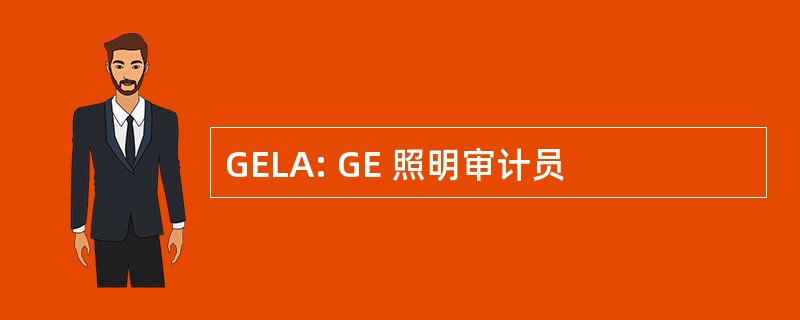 GELA: GE 照明审计员