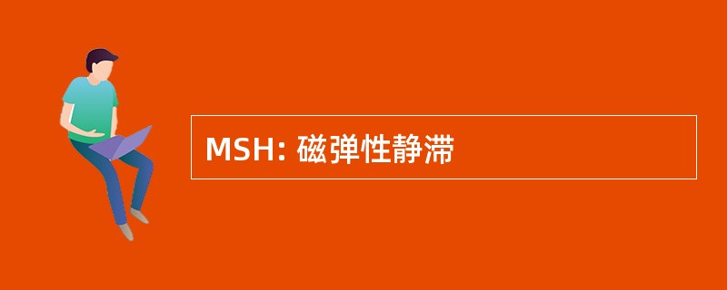 MSH: 磁弹性静滞