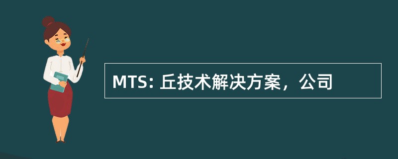 MTS: 丘技术解决方案，公司