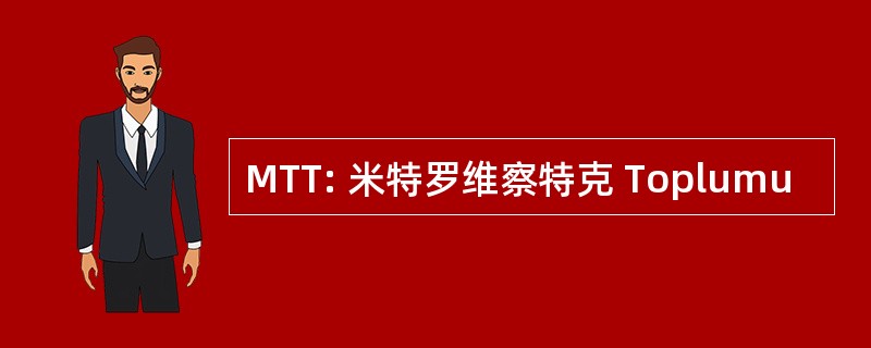 MTT: 米特罗维察特克 Toplumu