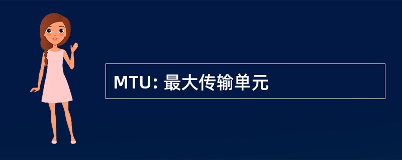 MTU: 最大传输单元