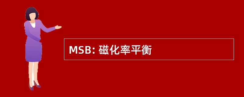 MSB: 磁化率平衡