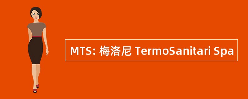 MTS: 梅洛尼 TermoSanitari Spa