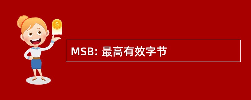 MSB: 最高有效字节