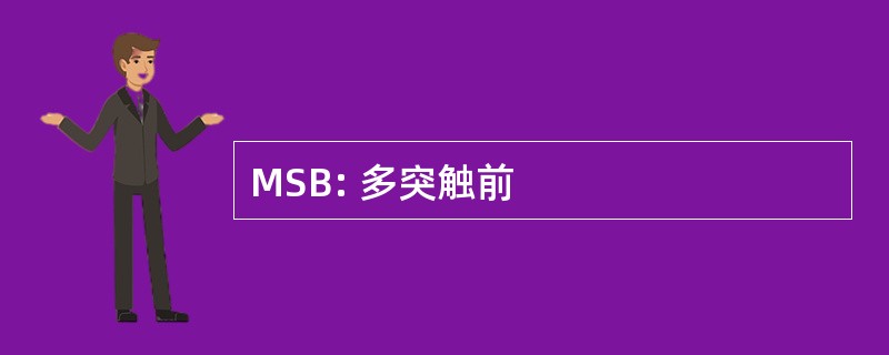 MSB: 多突触前