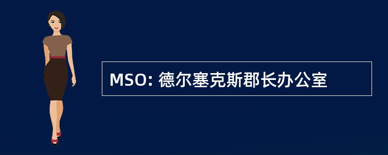 MSO: 德尔塞克斯郡长办公室