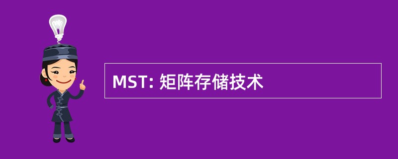 MST: 矩阵存储技术