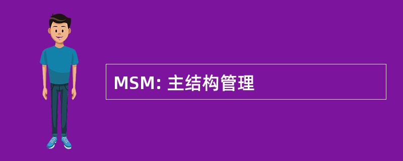 MSM: 主结构管理