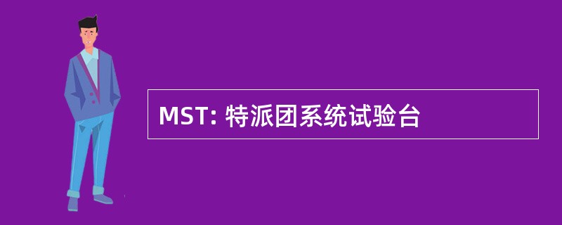 MST: 特派团系统试验台