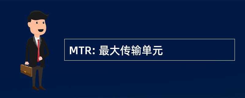 MTR: 最大传输单元