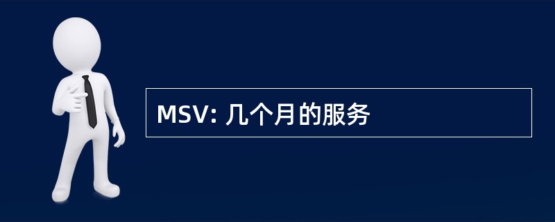 MSV: 几个月的服务