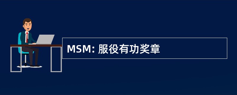 MSM: 服役有功奖章