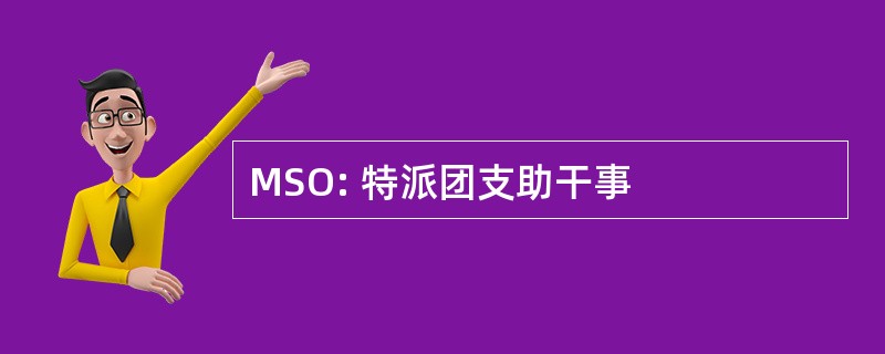 MSO: 特派团支助干事