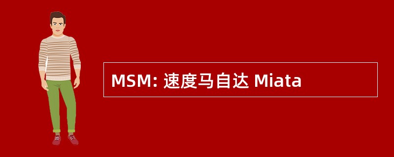 MSM: 速度马自达 Miata