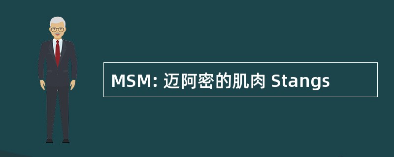 MSM: 迈阿密的肌肉 Stangs