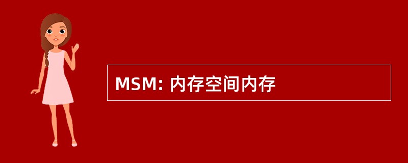 MSM: 内存空间内存