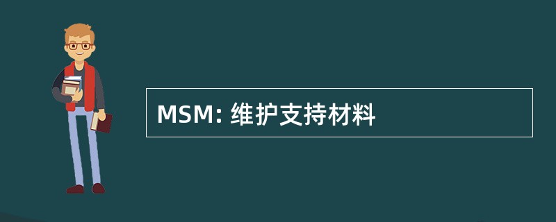 MSM: 维护支持材料