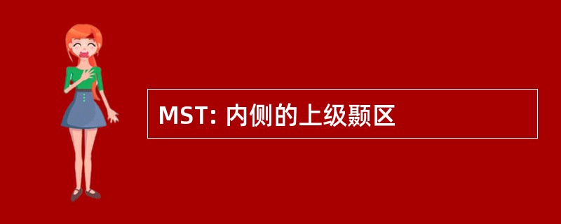 MST: 内侧的上级颞区