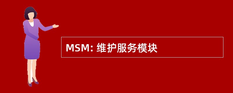 MSM: 维护服务模块