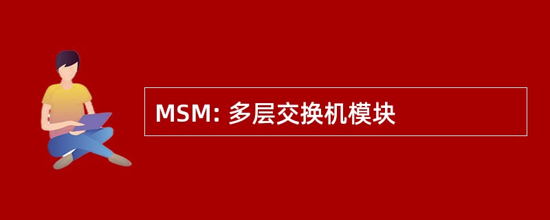 MSM: 多层交换机模块