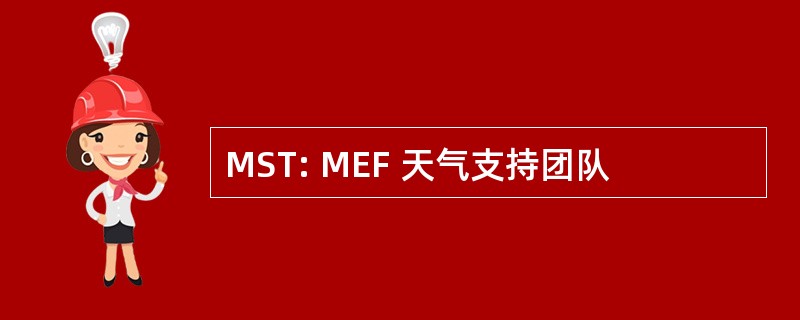 MST: MEF 天气支持团队