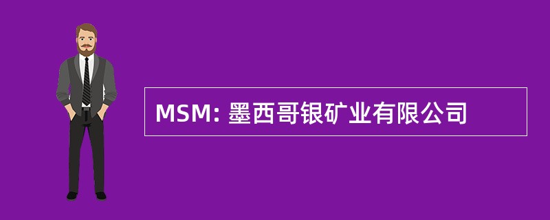 MSM: 墨西哥银矿业有限公司