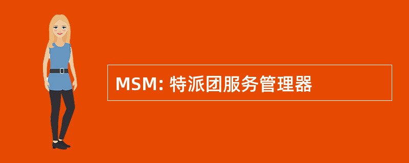 MSM: 特派团服务管理器