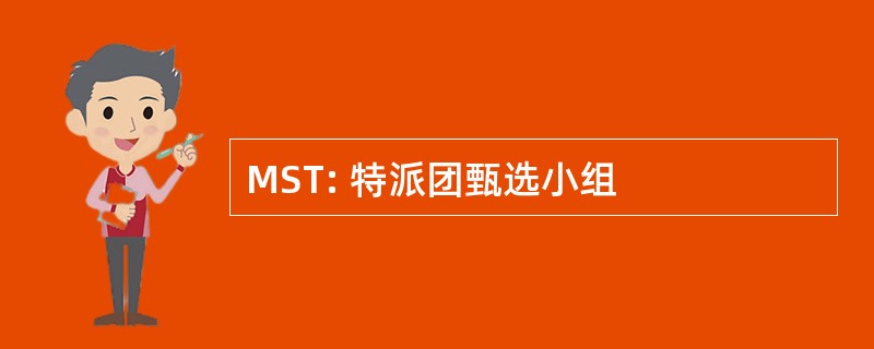 MST: 特派团甄选小组