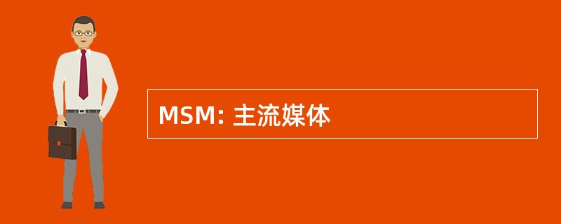 MSM: 主流媒体