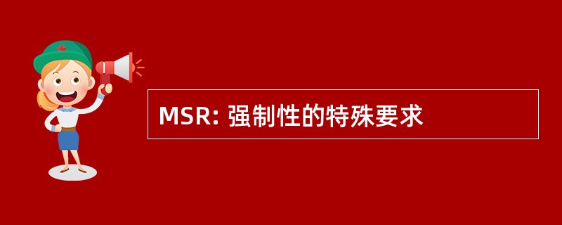 MSR: 强制性的特殊要求