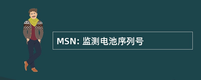 MSN: 监测电池序列号