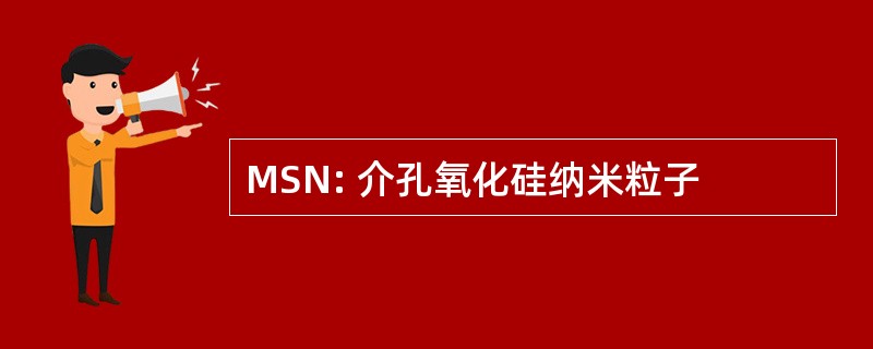 MSN: 介孔氧化硅纳米粒子