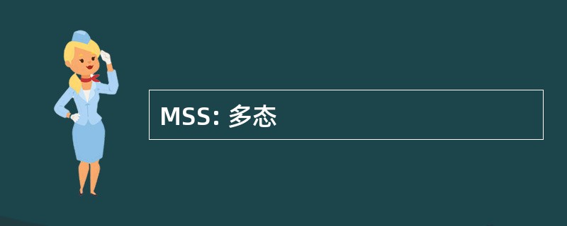 MSS: 多态