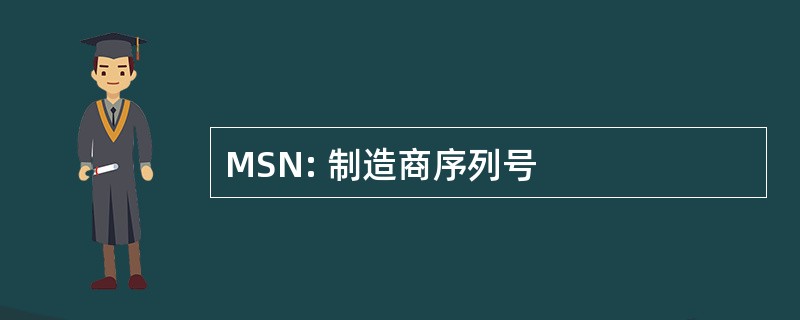 MSN: 制造商序列号