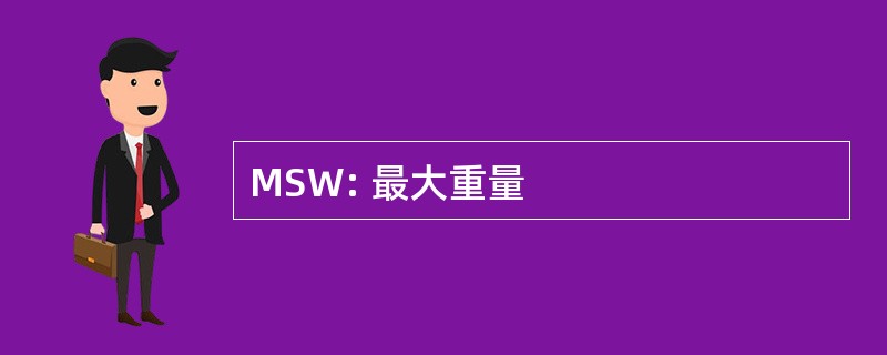 MSW: 最大重量