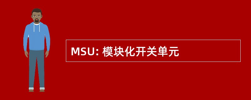 MSU: 模块化开关单元