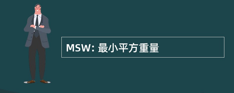 MSW: 最小平方重量