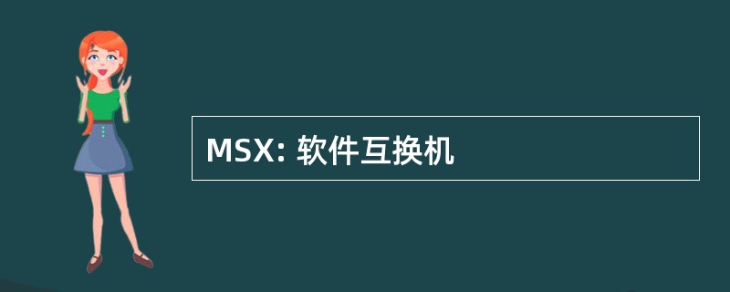 MSX: 软件互换机