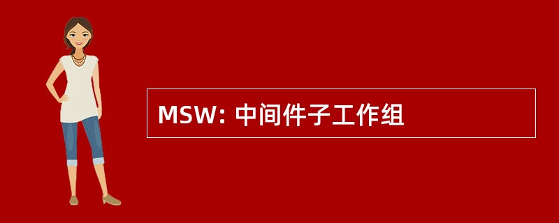 MSW: 中间件子工作组