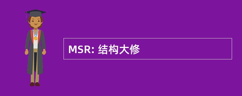 MSR: 结构大修