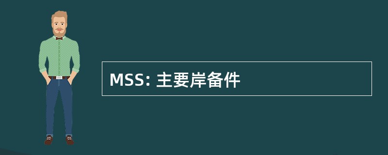 MSS: 主要岸备件