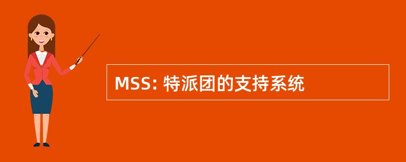 MSS: 特派团的支持系统