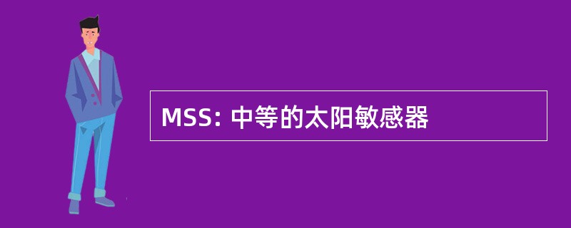 MSS: 中等的太阳敏感器