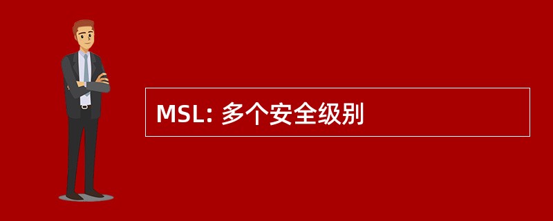 MSL: 多个安全级别