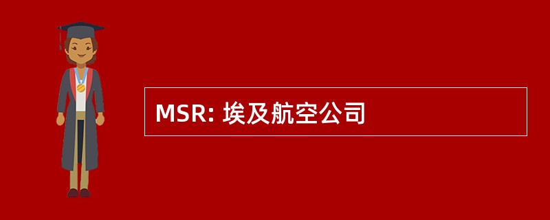 MSR: 埃及航空公司